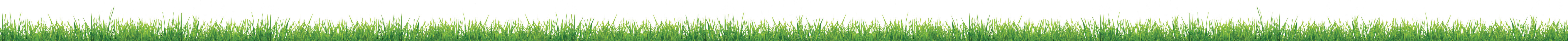 Grass Image